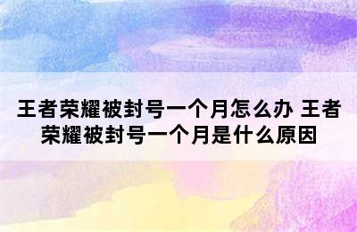 王者荣耀被封号一个月怎么办 王者荣耀被封号一个月是什么原因